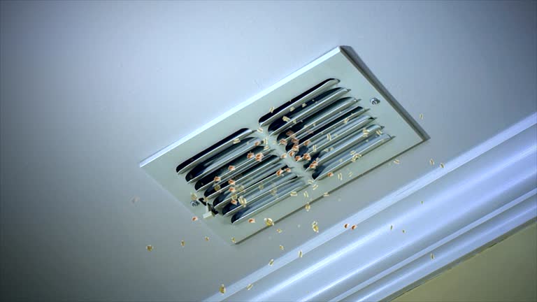 Best Air Duct Cleaning Near Me  in Immokalee, FL