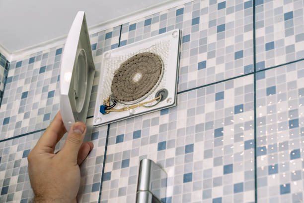 Best Air Vent Cleaning Services  in Immokalee, FL