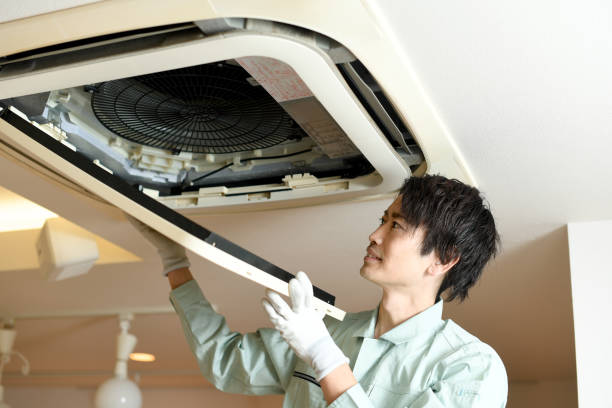 Best HVAC System Cleaning  in Immokalee, FL