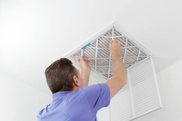 Best Air Duct Cleaning Near Me  in Immokalee, FL